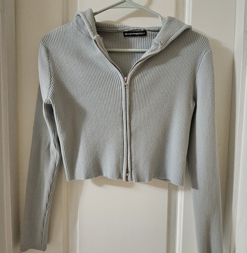 Brandy Melville Arden Crop Hoodie